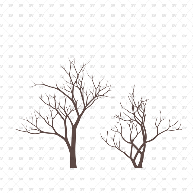 Flat Vector Bare Trees (+PNGs)