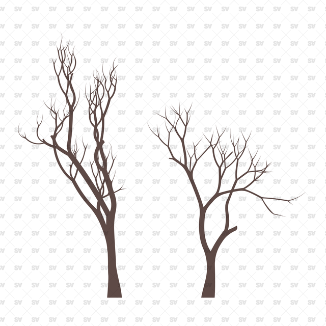 Flat Vector Bare Trees (+PNGs)