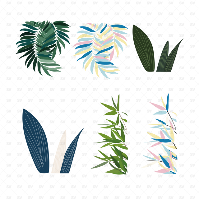 indoor plants vector