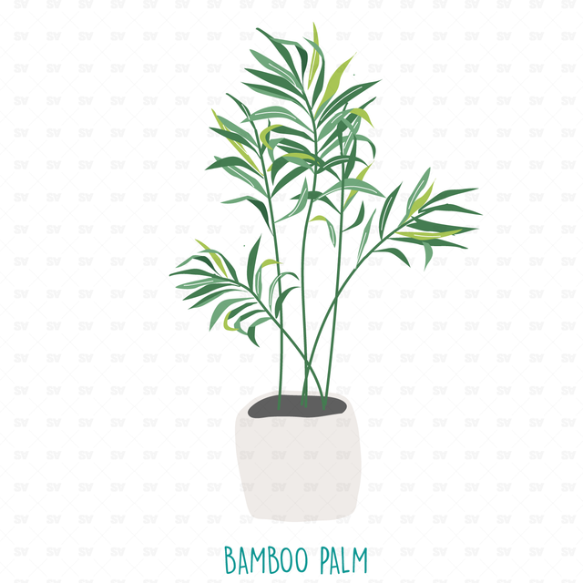 25 Interior Purifying Plants Announced by NASA