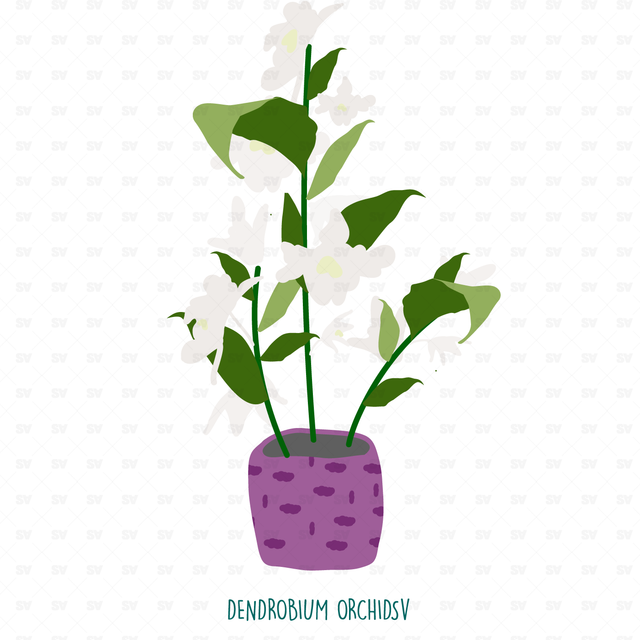 25 Interior Purifying Plants Announced by NASA