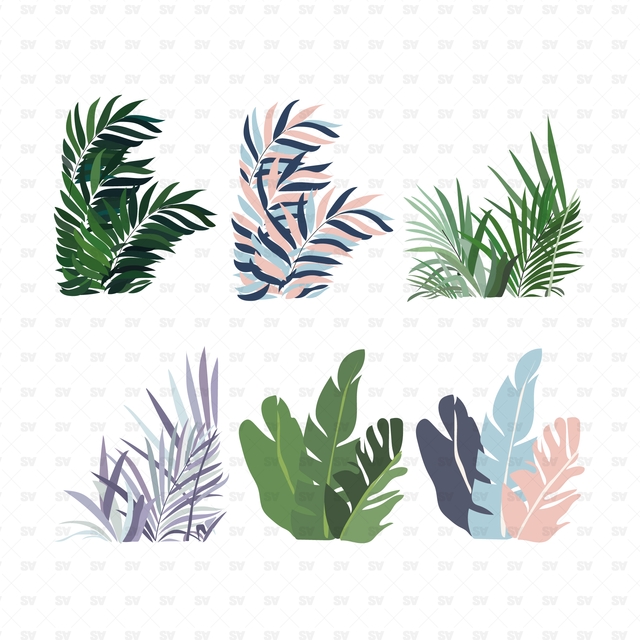 indoor plants vector