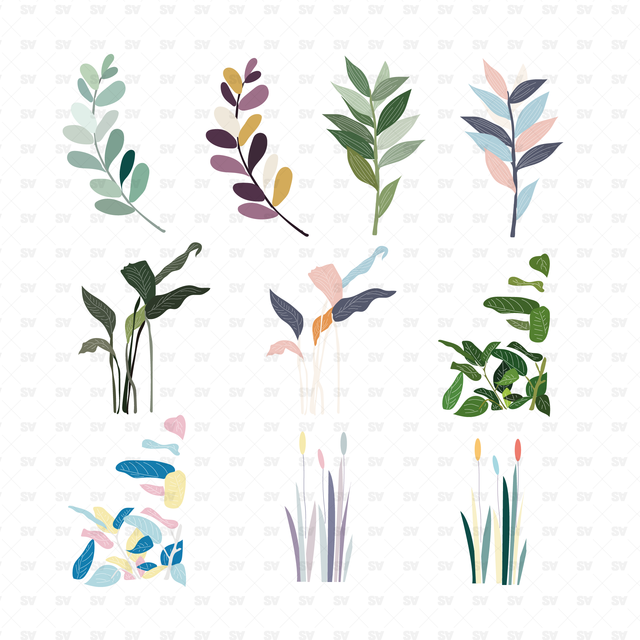 indoor plants vector