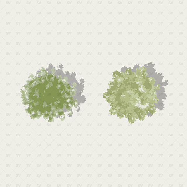 vector trees with shadows