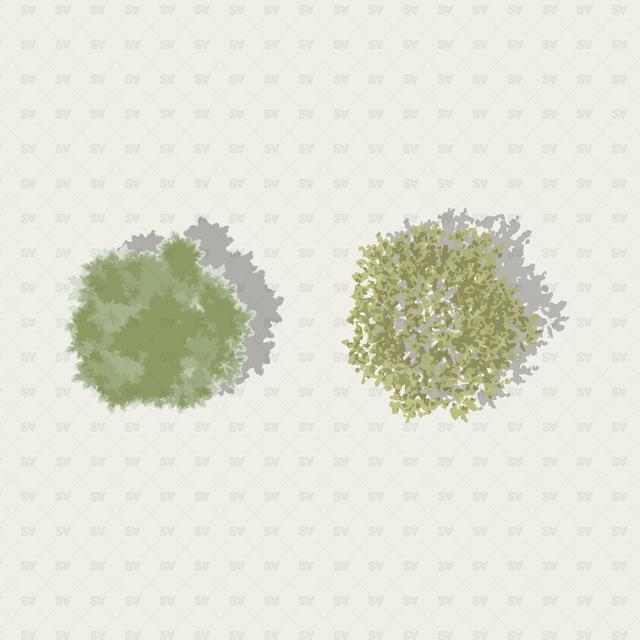 vector trees with shadows