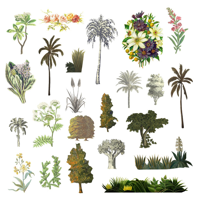 Vegetation Cutouts (45 PNGs)-Cutouts-Studio Alternativi