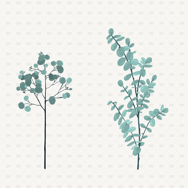 Vector Flowers and Leaves