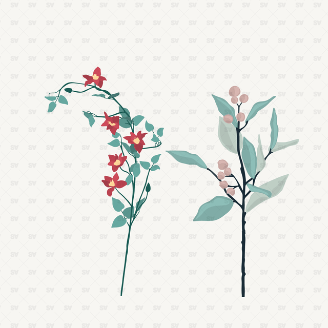 Vector Flowers and Leaves
