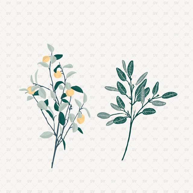 Vector Flowers and Leaves