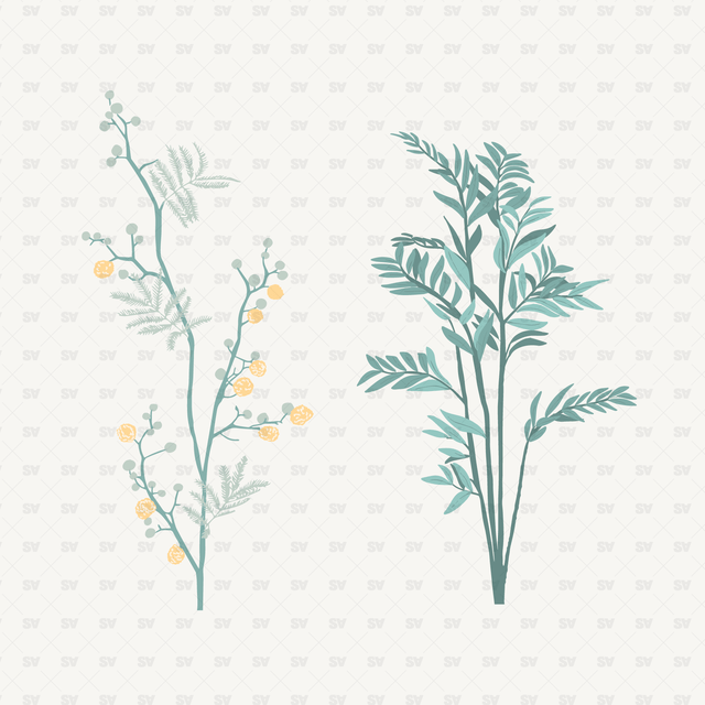 Vector plants