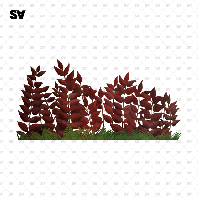 Set of Plants based on Henri Rousseau Works of Art-Cutouts-Studio Alternativi