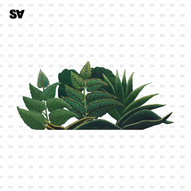 Set of Plants based on Henri Rousseau Works of Art-Cutouts-Studio Alternativi