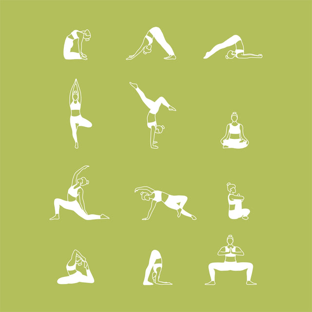 vector free people