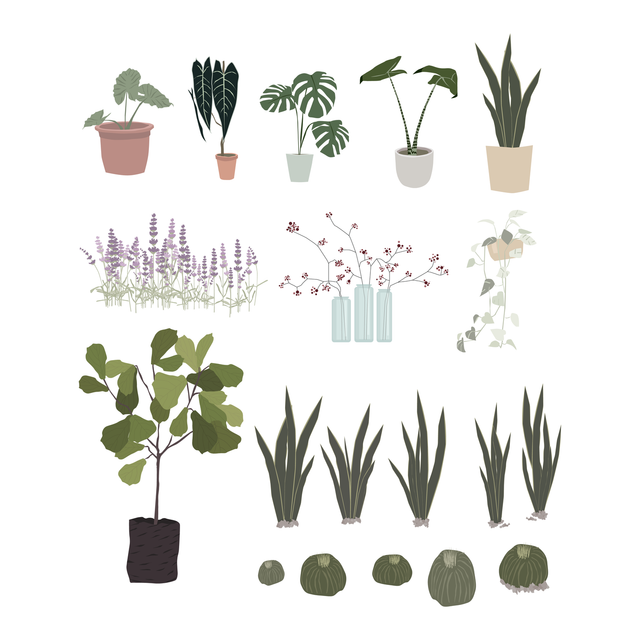 flat vector potted plants