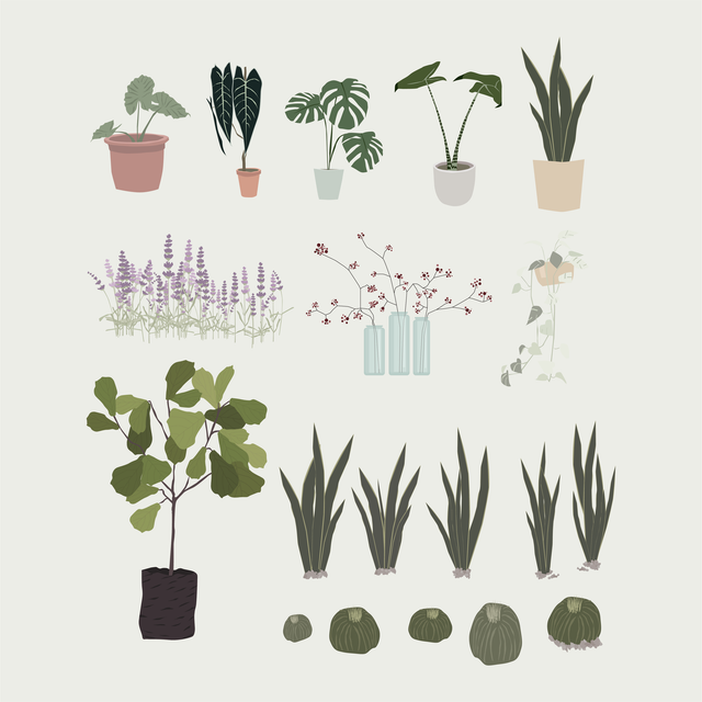 flat vector plants trees