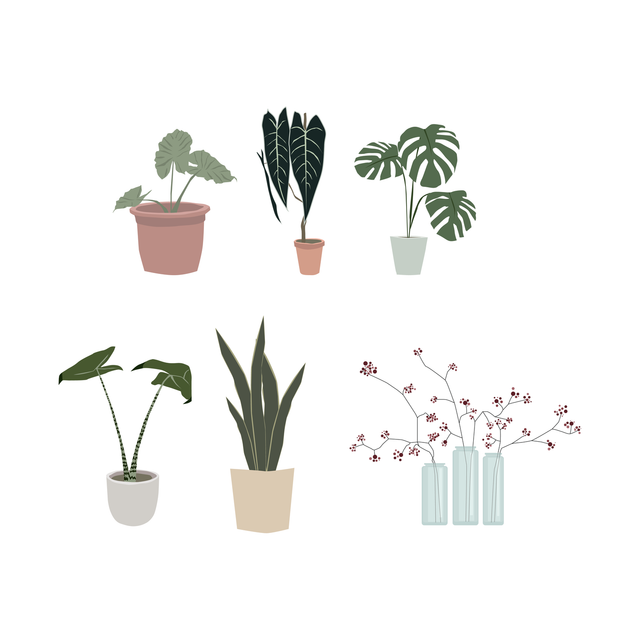 interior plants vector png