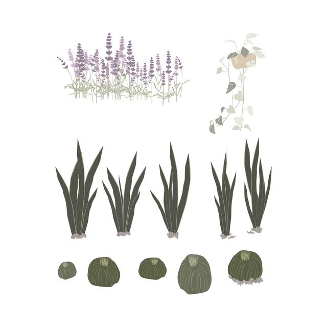 wild plants png vector