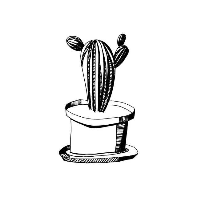 hand drawn vector plants