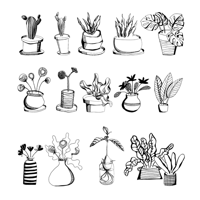 hand drawn vector plants