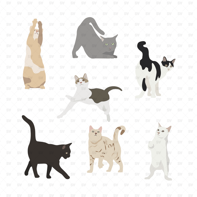 Flat Vector Cats