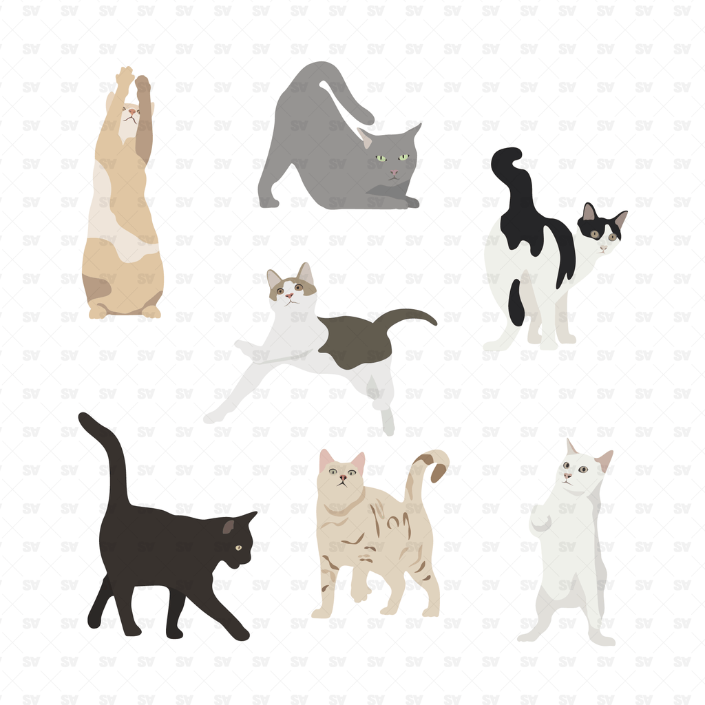 Free Vectors  Assortment of cats