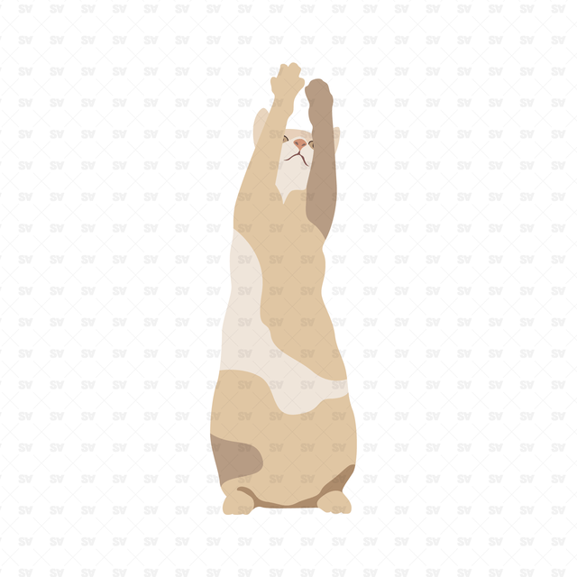 Flat Vector Cats