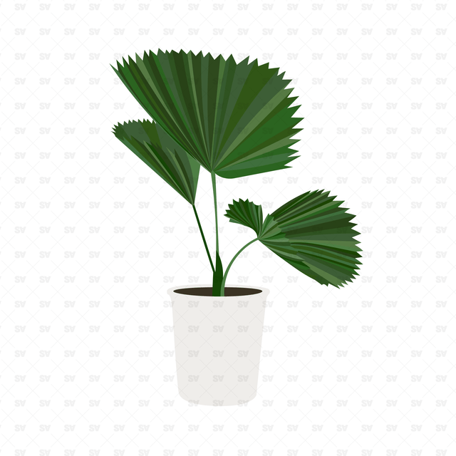 Flat Vector Plants in White Pots