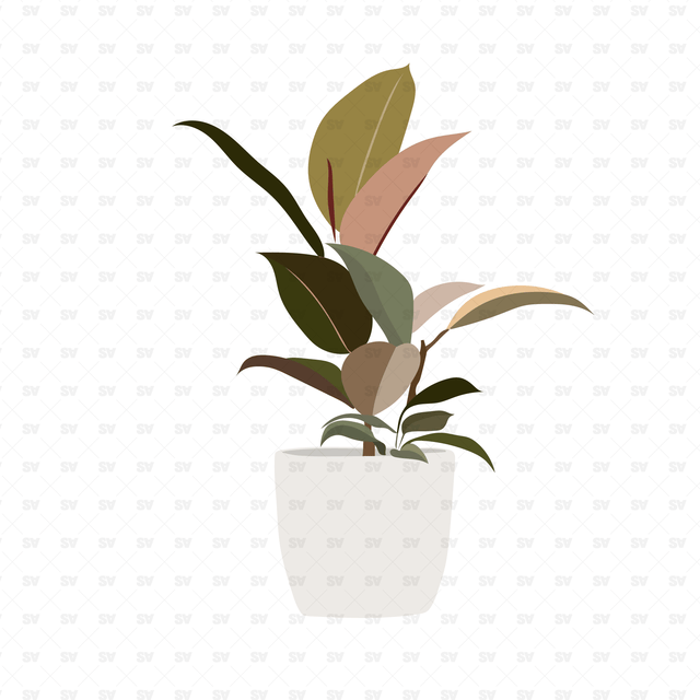 Flat Vector Plants in White Pots