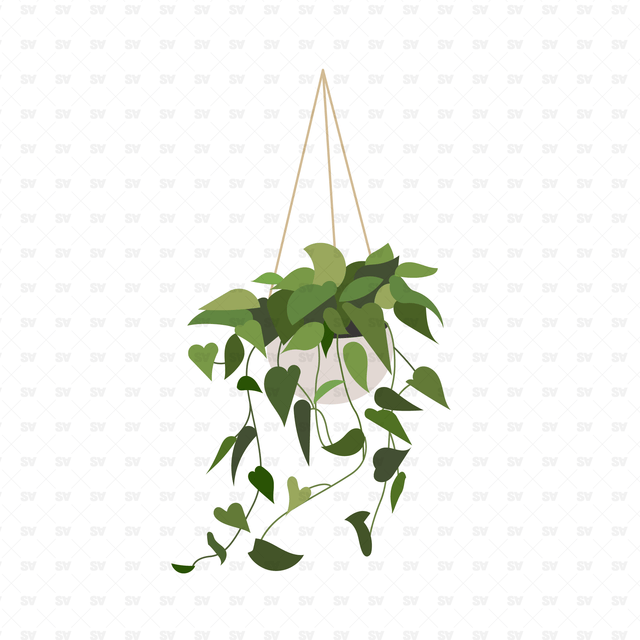 Flat Vector Plants in White Pots