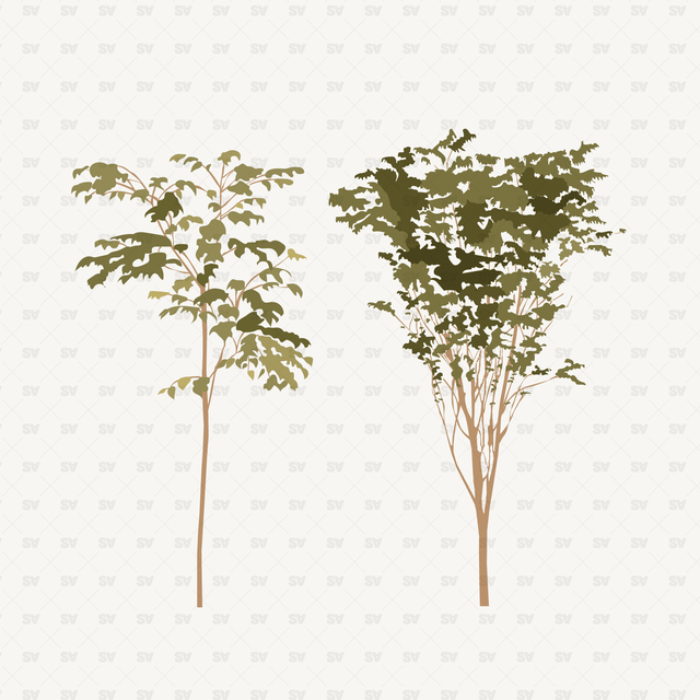 vector trees download