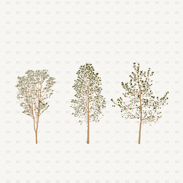 Vector Plants architecture