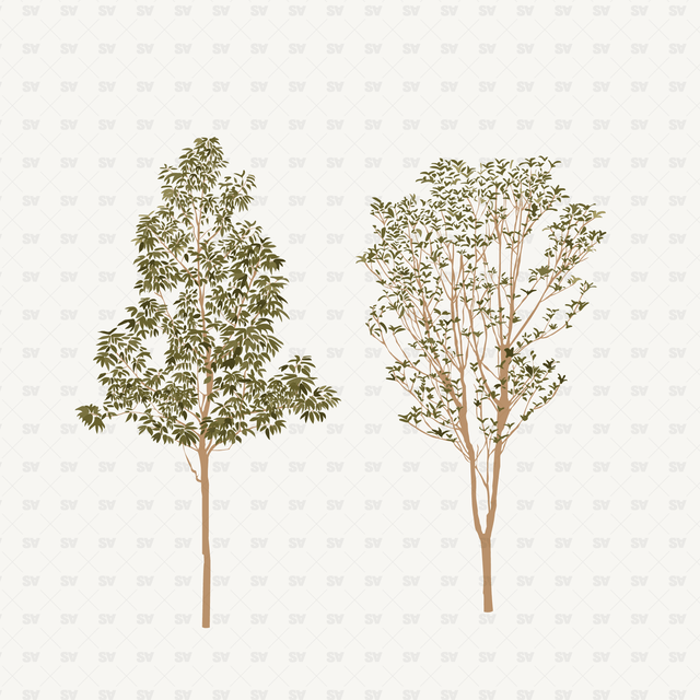 vector trees download