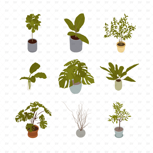 isometric vector plants