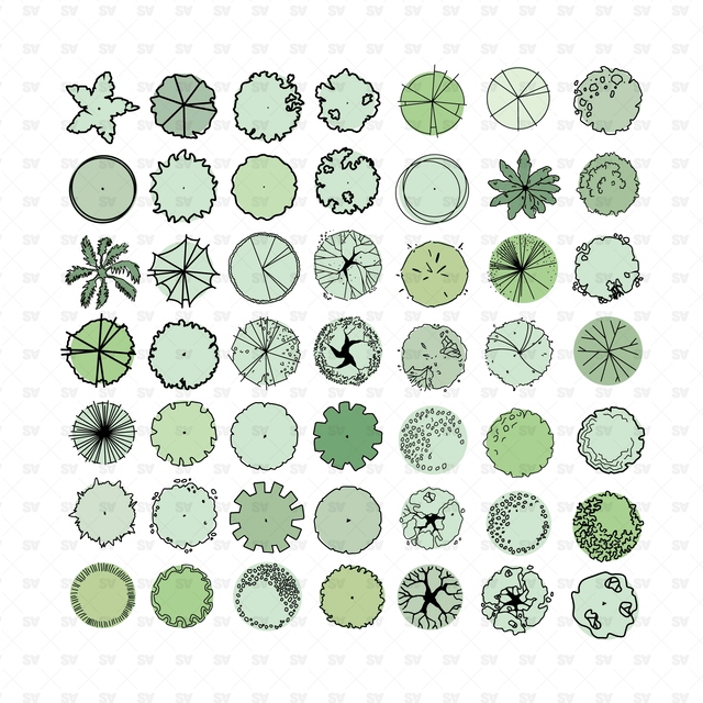 Vector Trees in Plan View (49 Trees)
