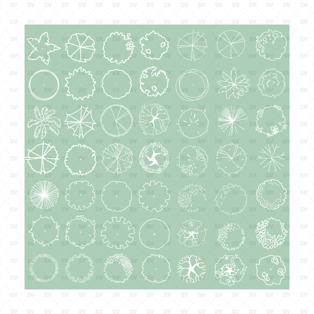 Vector Trees in Plan View (49 Trees)