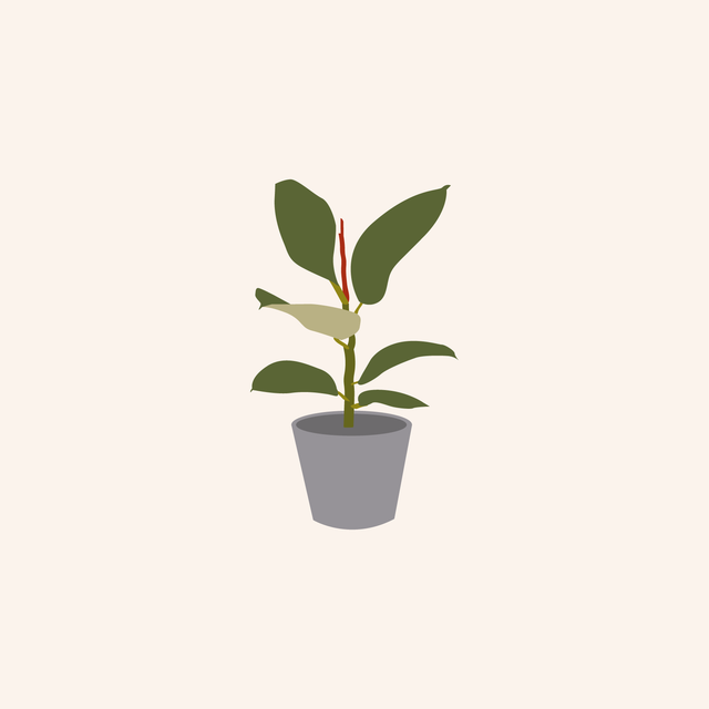 vector potted plants