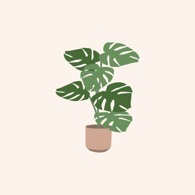 vector interior plants