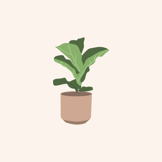 vector indoor plants