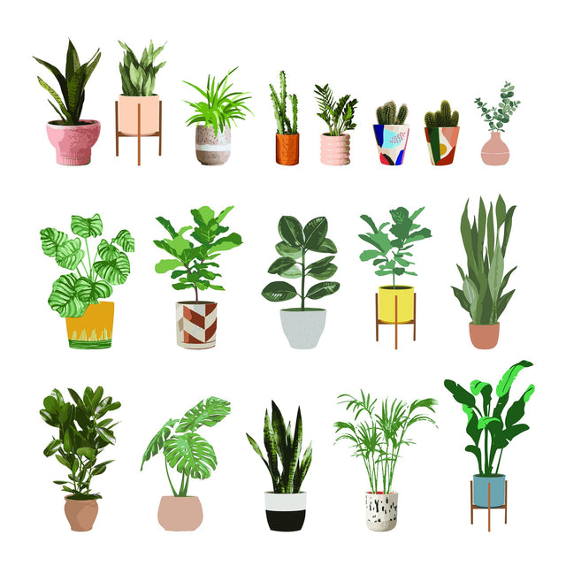 vector potted plants