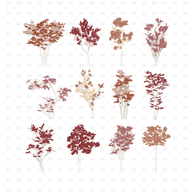 Vector & PNG Trees Set Vol. 2 (12 figures)