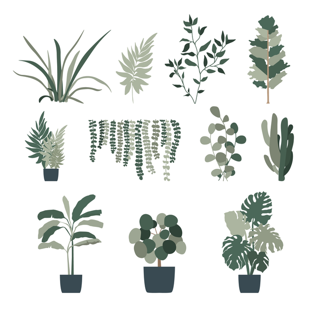 vector plants free