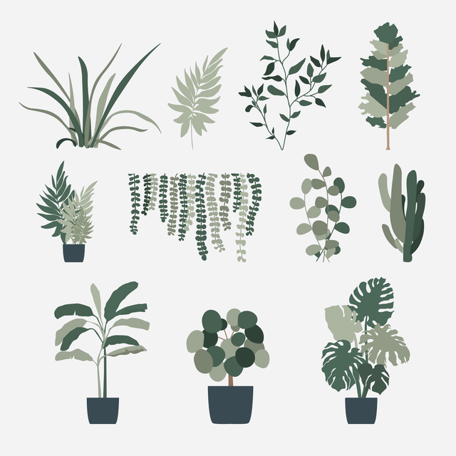 vector plants illustration