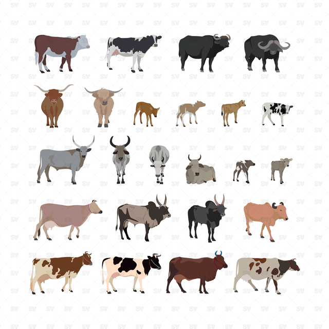 Detailed Cattle Animals (24 Figures)