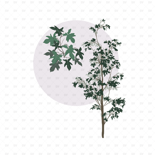 vector trees download