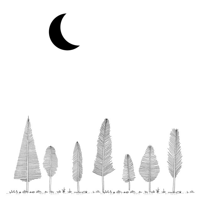 Feather Trees Vector Set (FREE)-Vectors-Studio Alternativi