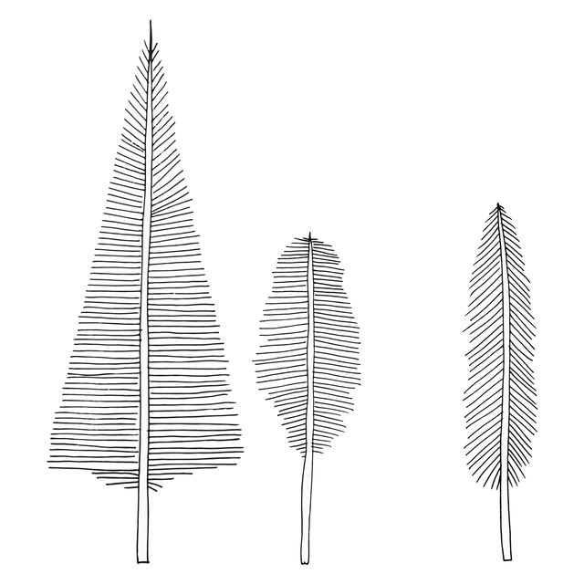 Feather Trees Vector Set (FREE)-Vectors-Studio Alternativi