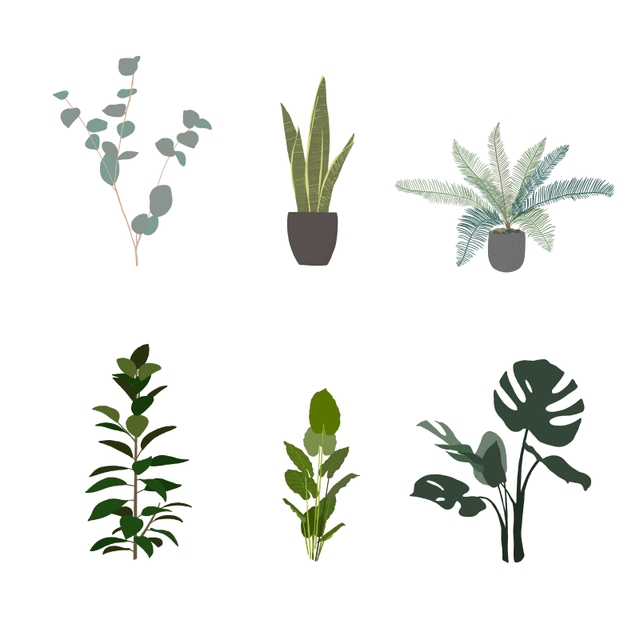 free vector plants