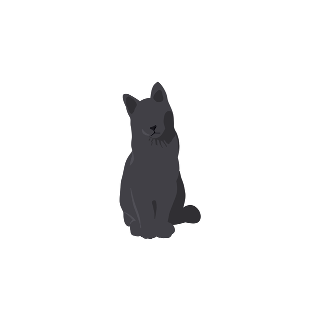 free png cat