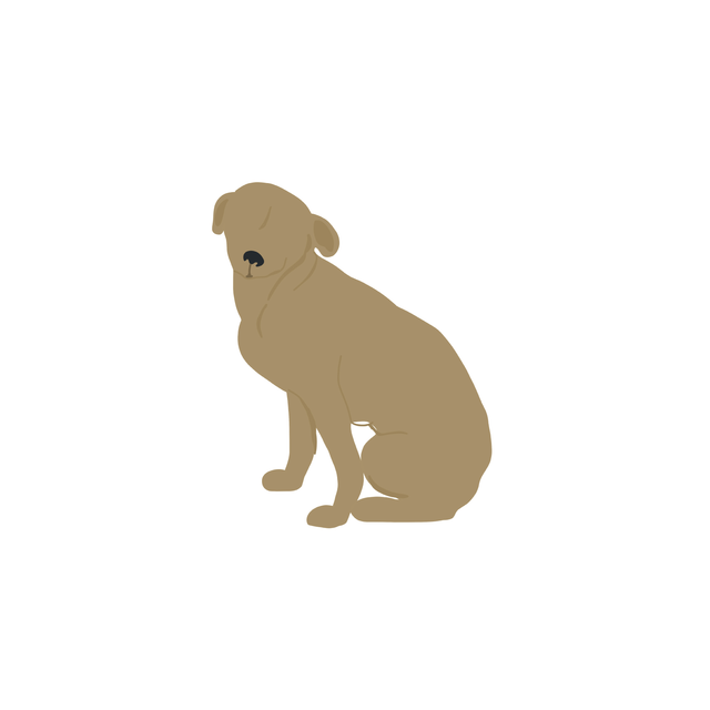 free png dog