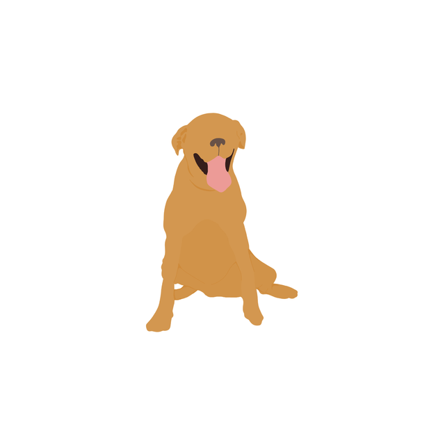 free png dog